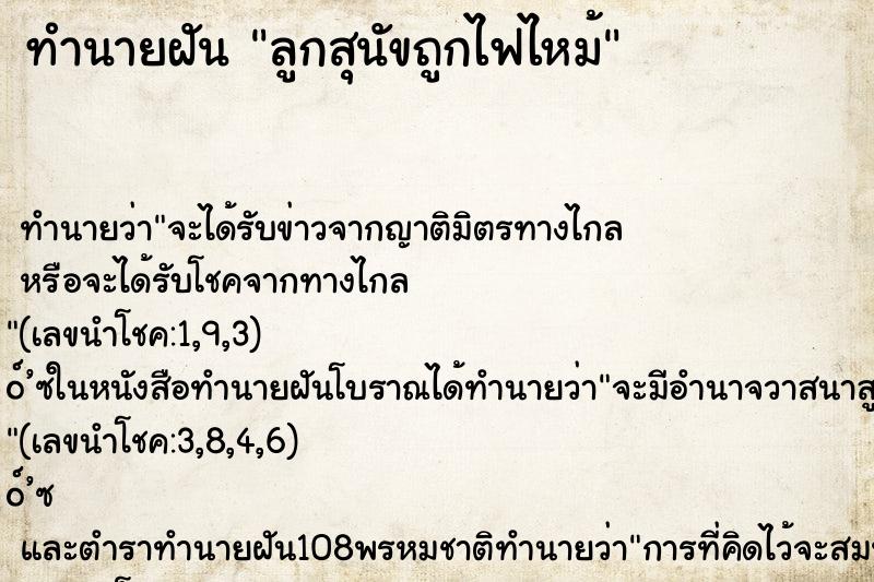 ทำนายฝัน ลูกสุนัขถูกไฟไหม้