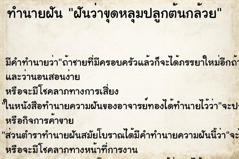ทำนายฝัน ฝันว่าขุดหลุมปลูกต้นกล้วย ทำนายฝัน ฝันว่าขุดหลุมปลูกต้นกล้วย
