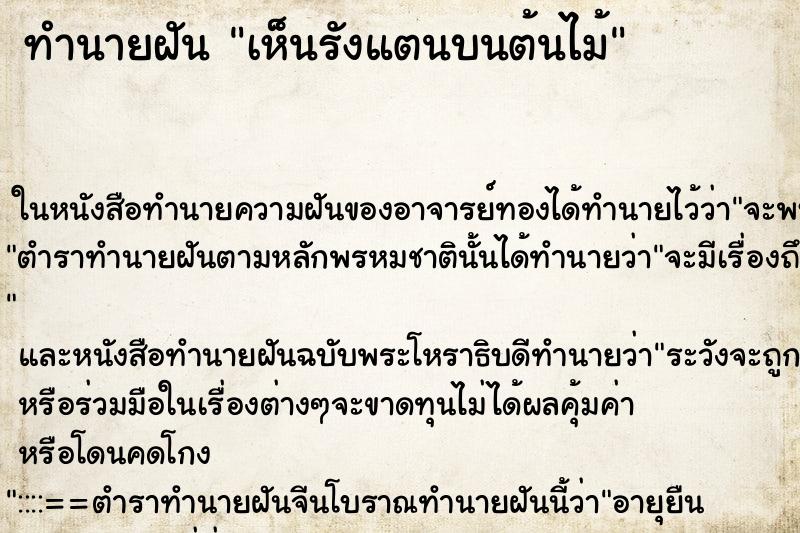 ทำนายฝันเห็นรังแตนบนต้นไม้ ทำนายฝันทำนายฝันเห็นรังแตนบนต้นไม้