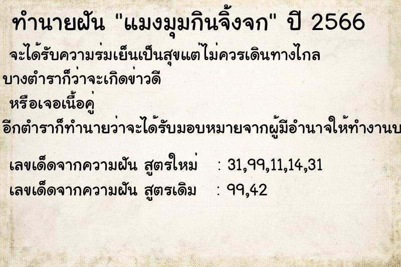 ทำนายฝัน แมงมุมกินจิ้งจก ทำนายฝัน แมงมุมกินจิ้งจก