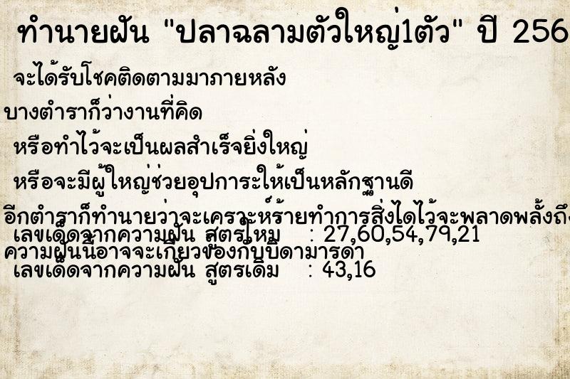 ทำนายฝัน ปลาฉลามตัวใหญ่1ตัว ทำนายฝัน ปลาฉลามตัวใหญ่1ตัว