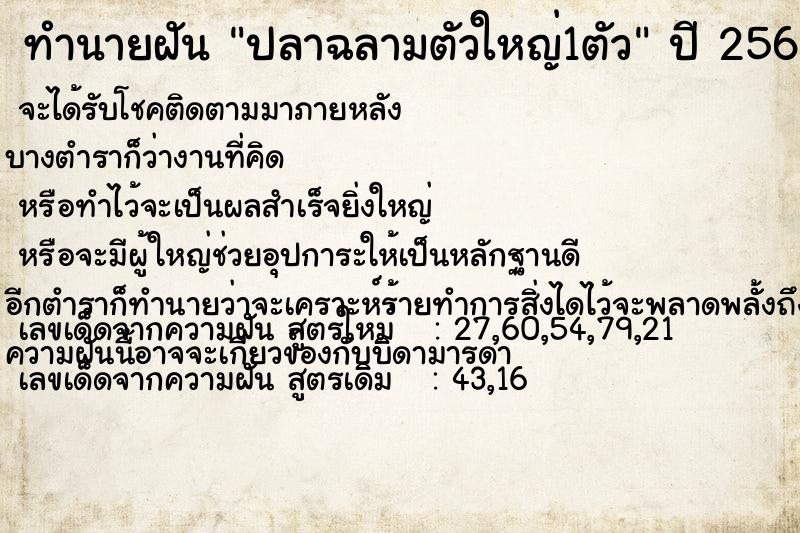 ทำนายฝัน ปลาฉลามตัวใหญ่1ตัว ตำราโบราณ แม่นที่สุดในโลก