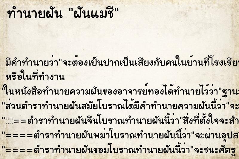 ทำนายฝันฝันแมชี ทำนายฝันทำนายฝันฝันแมชี