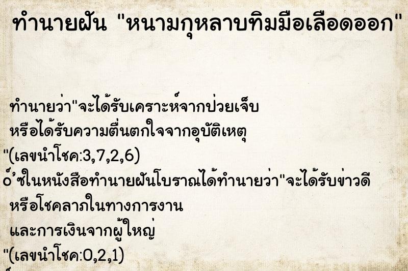 ทำนายฝันหนามกุหลาบทิมมือเลือดออก ทำนายฝันทำนายฝันหนามกุหลาบทิมมือเลือดออก