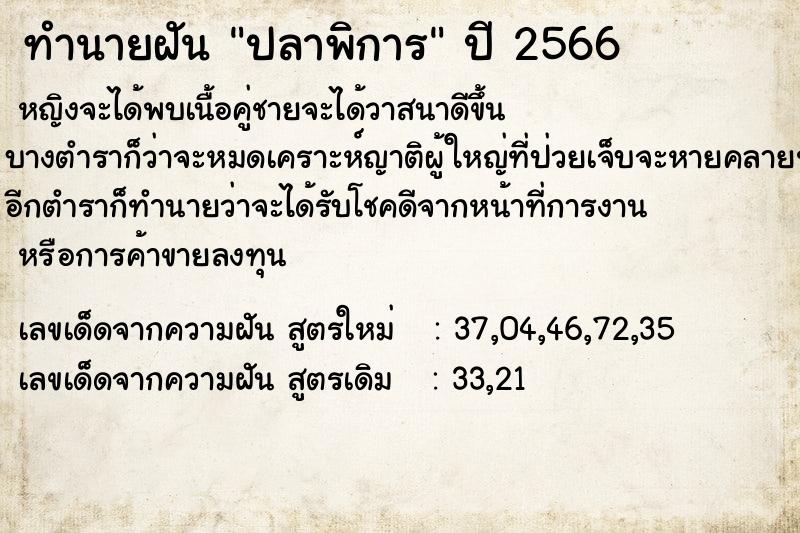 ทำนายฝัน ปลาพิการ ทำนายฝัน ปลาพิการ