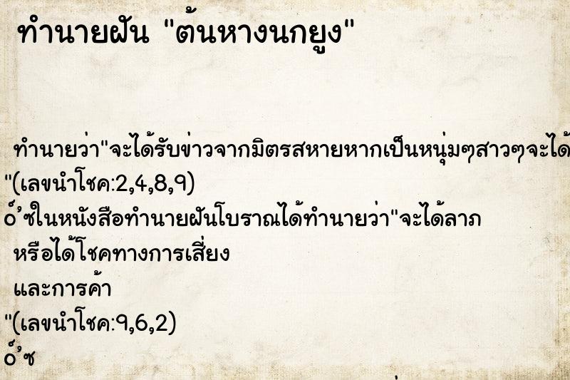 ทำนายฝัน ต้นหางนกยูง