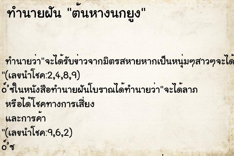 ทำนายฝัน ต้นหางนกยูง ตำราโบราณ แม่นที่สุดในโลก