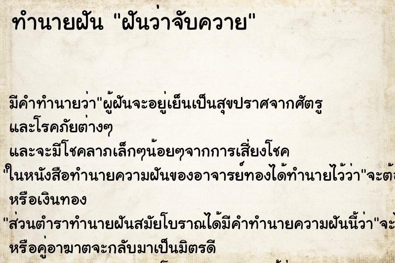 ทำนายฝัน ฝันว่าจับควาย ทำนายฝัน ฝันว่าจับควาย