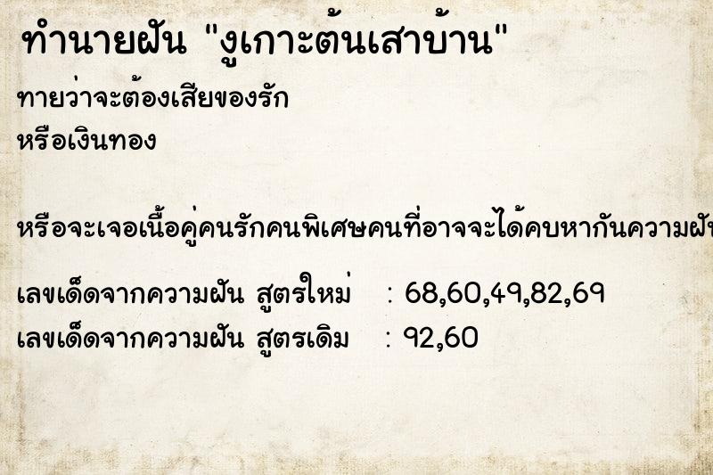 ทำนายฝันงูเกาะต้นเสาบ้าน ทำนายฝันทำนายฝันงูเกาะต้นเสาบ้าน