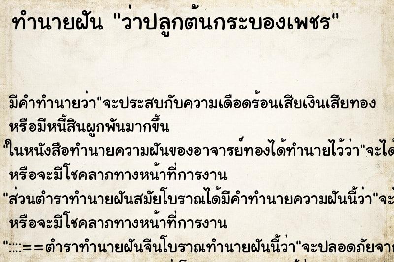 ทำนายฝัน ว่าปลูกต้นกระบองเพชร ทำนายฝัน ว่าปลูกต้นกระบองเพชร