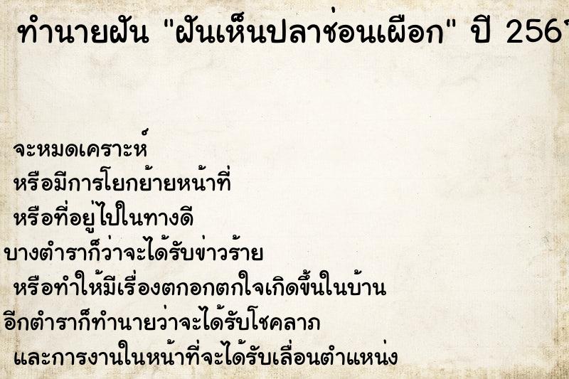 ทำนายฝันฝันเห็นปลาช่อนเผือก ทำนายฝันทำนายฝันฝันเห็นปลาช่อนเผือก