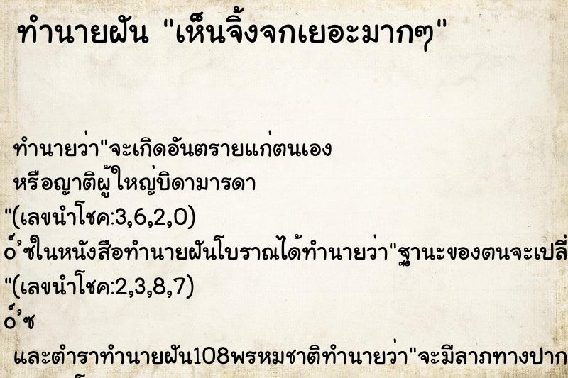 ทำนายฝันเห็นจิ้งจกเยอะมากๆ ทำนายฝันทำนายฝันเห็นจิ้งจกเยอะมากๆ