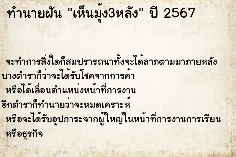 ทำนายฝันเห็นมุ้ง3หลัง ทำนายฝันทำนายฝันเห็นมุ้ง3หลัง