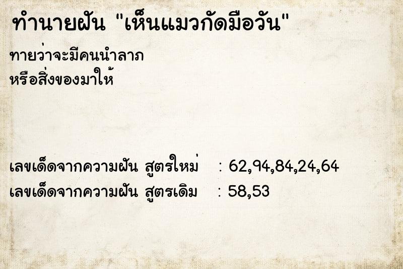 ทำนายฝัน เห็นแมวกัดมือวัน ทำนายฝัน เห็นแมวกัดมือวัน