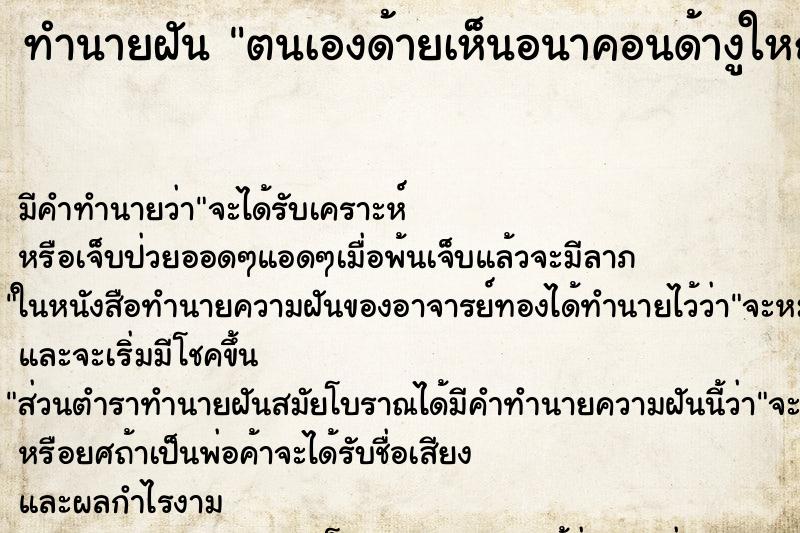 ทำนายฝันทำนายฝันตนเองด้ายเห็นอนาคอนด้างูใหญ่มาก