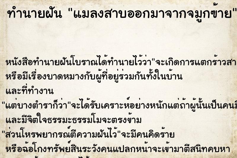ทำนายฝันแมลงสาบออกมาจากจมูกฃ้าย ทำนายฝันทำนายฝันแมลงสาบออกมาจากจมูกฃ้าย