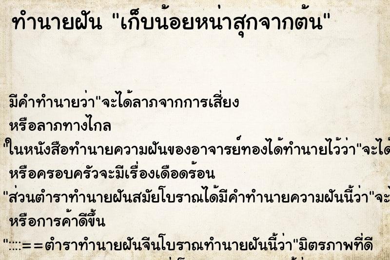 ทำนายฝัน เก็บน้อยหน่าสุกจากต้น ทำนายฝัน เก็บน้อยหน่าสุกจากต้น