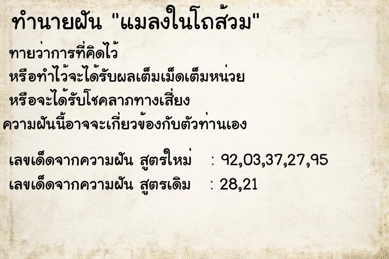 ทำนายฝัน แมลงในโถส้วม