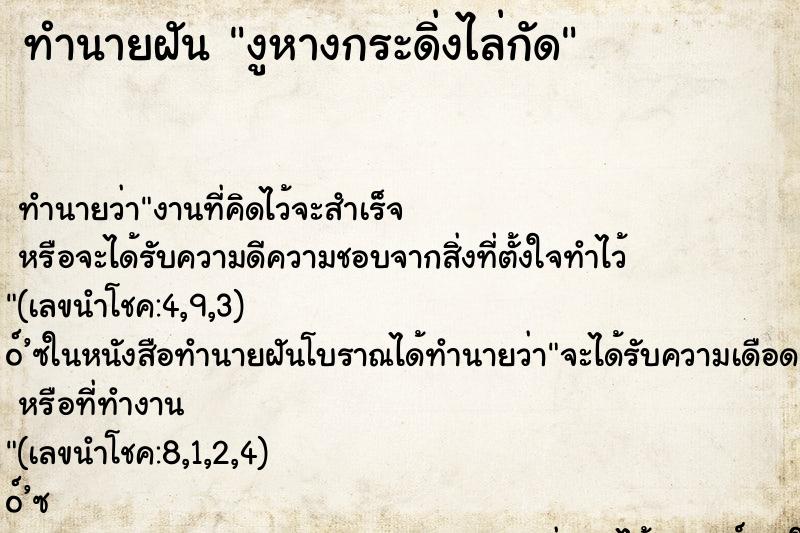 ทำนายฝัน งูหางกระดิ่งไล่กัด ทำนายฝัน งูหางกระดิ่งไล่กัด