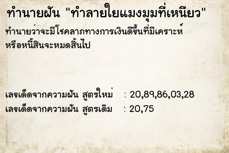 ทำนายฝันทำนายฝันทำลายใยแมงมุมที่เหนียว