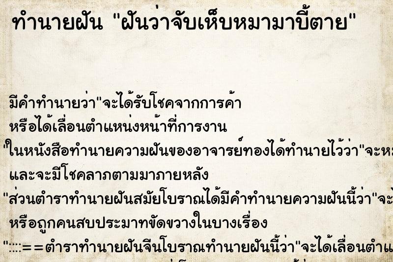 ทำนายฝัน ฝันว่าจับเห็บหมามาบี้ตาย ทำนายฝัน ฝันว่าจับเห็บหมามาบี้ตาย