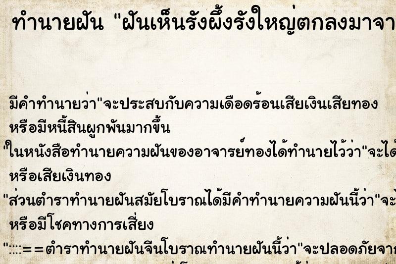 ทำนายฝัน ฝันเห็นรังผึ้งรังใหญ่ตกลงมาจากต้นไม้มีผึ้งเยอะมาก ทำนายฝัน ฝันเห็นรังผึ้งรังใหญ่ตกลงมาจากต้นไม้มีผึ้งเยอะมาก