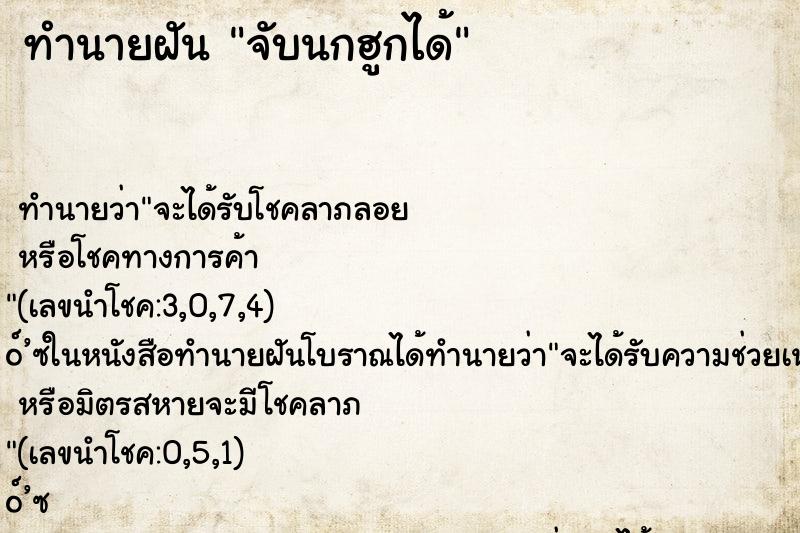 ทำนายฝัน จับนกฮูกได้