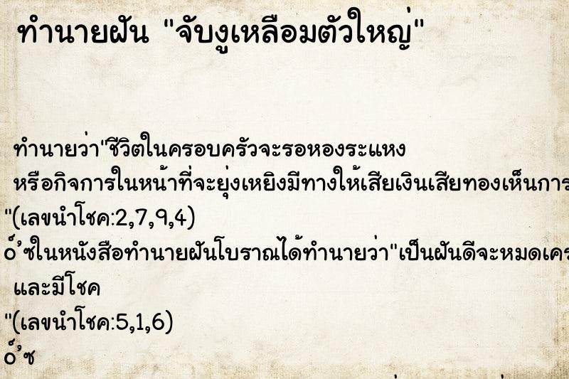 ทำนายฝัน จับงูเหลือมตัวใหญ่ ทำนายฝัน จับงูเหลือมตัวใหญ่
