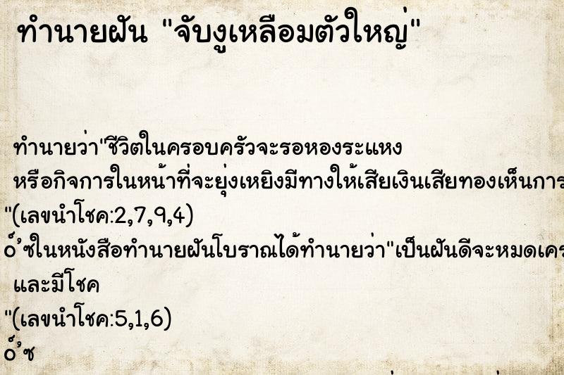 ทำนายฝัน จับงูเหลือมตัวใหญ่ ตำราโบราณ แม่นที่สุดในโลก