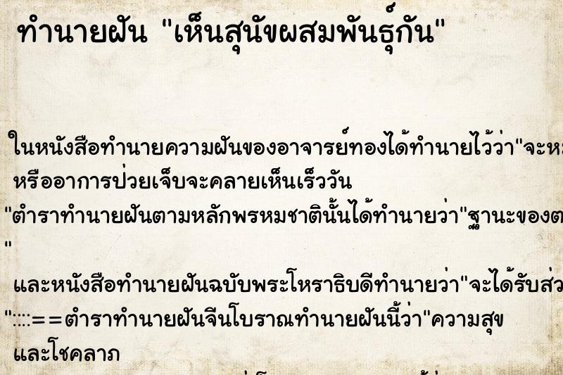 ทำนายฝันเห็นสุนัขผสมพันธุ์กัน ทำนายฝันทำนายฝันเห็นสุนัขผสมพันธุ์กัน