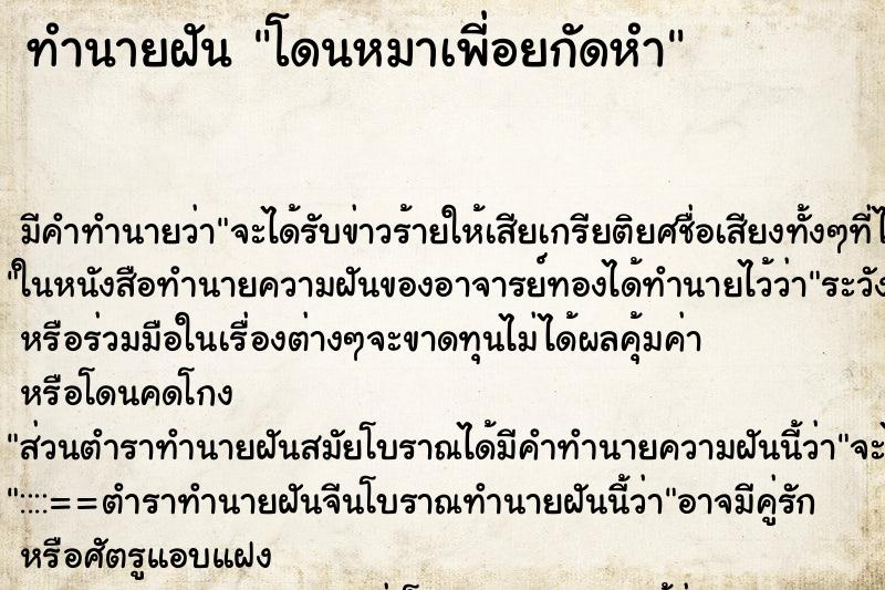 ทำนายฝันโดนหมาเพี่อยกัดหำ ทำนายฝันทำนายฝันโดนหมาเพี่อยกัดหำ