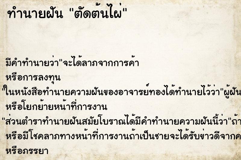 ทำนายฝัน ตัดต้นไผ่ ทำนายฝัน ตัดต้นไผ่