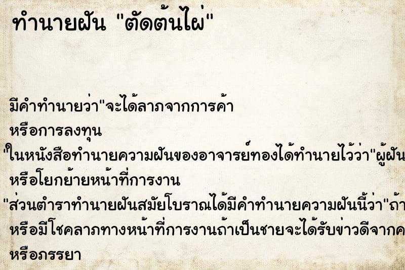 ทำนายฝัน ตัดต้นไผ่ ตำราโบราณ แม่นที่สุดในโลก