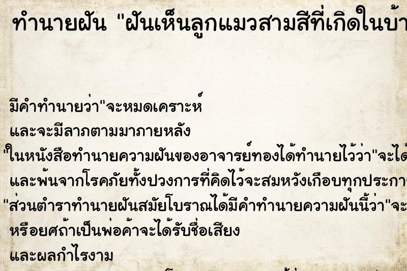ทำนายฝันฝันเห็นลูกแมวสามสีที่เกิดในบ้าน ทำนายฝันทำนายฝันฝันเห็นลูกแมวสามสีที่เกิดในบ้าน
