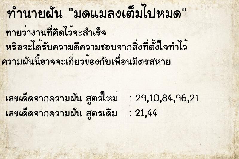 ทำนายฝัน มดแมลงเต็มไปหมด