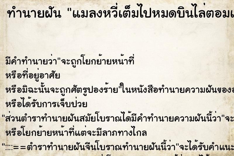 ทำนายฝัน แมลงหวี่เต็มไปหมดบินไล่ตอมเรา ทำนายฝัน แมลงหวี่เต็มไปหมดบินไล่ตอมเรา