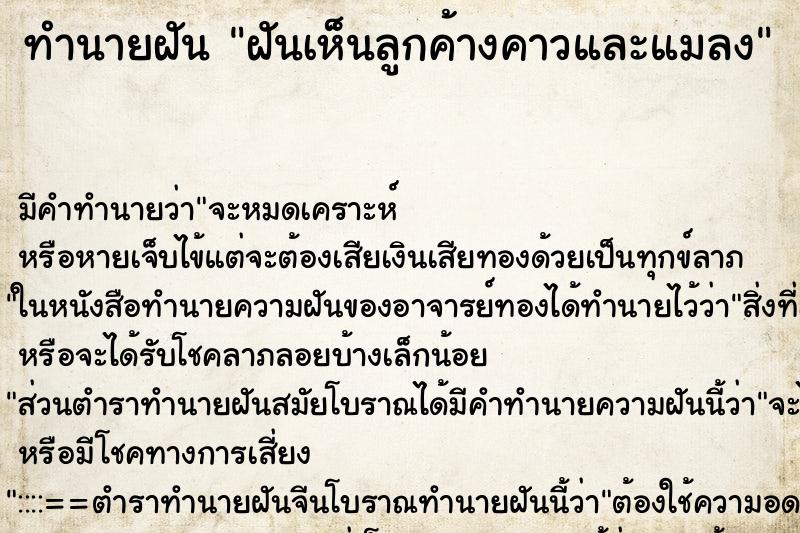 ทำนายฝัน ฝันเห็นลูกค้างคาวและแมลง ทำนายฝัน ฝันเห็นลูกค้างคาวและแมลง