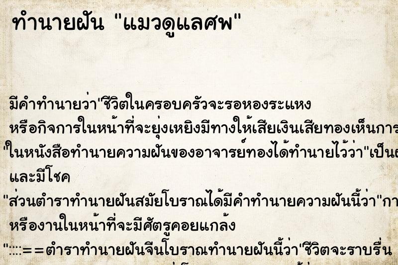 ทำนายฝัน แมวดูแลศพ ทำนายฝัน แมวดูแลศพ