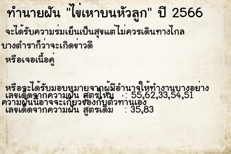 ทำนายฝัน ไข่เหาบนหัวลูก ทำนายฝัน ไข่เหาบนหัวลูก