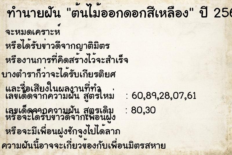ทำนายฝัน ต้นไม้ออกดอกสีเหลือง ทำนายฝัน ต้นไม้ออกดอกสีเหลือง