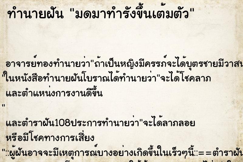 ทำนายฝันมดมาทำรังขึ้นเต้มตัว ทำนายฝันทำนายฝันมดมาทำรังขึ้นเต้มตัว