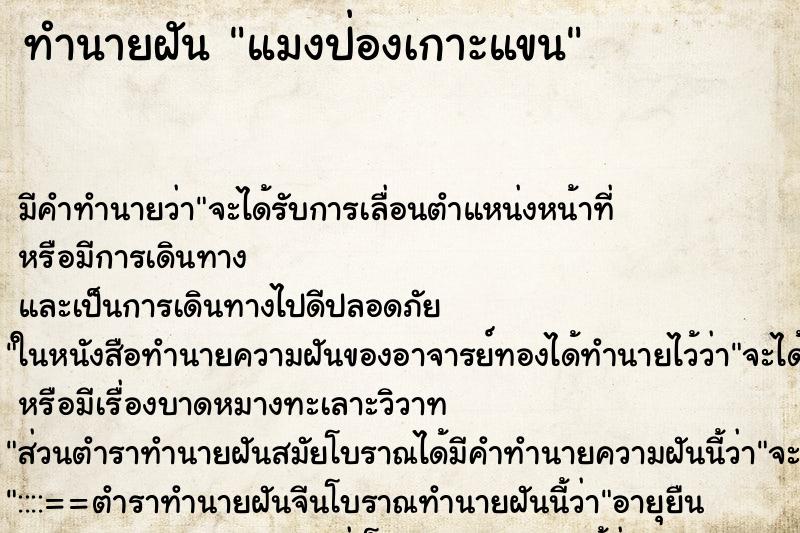 ทำนายฝัน แมงป่องเกาะแขน ทำนายฝัน แมงป่องเกาะแขน