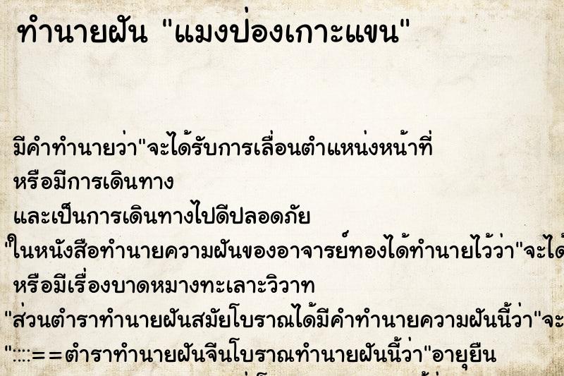 ทำนายฝัน แมงป่องเกาะแขน ตำราโบราณ แม่นที่สุดในโลก