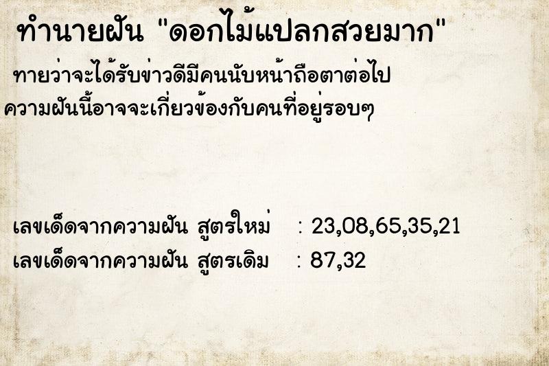 ทำนายฝันดอกไม้แปลกสวยมาก ทำนายฝันทำนายฝันดอกไม้แปลกสวยมาก