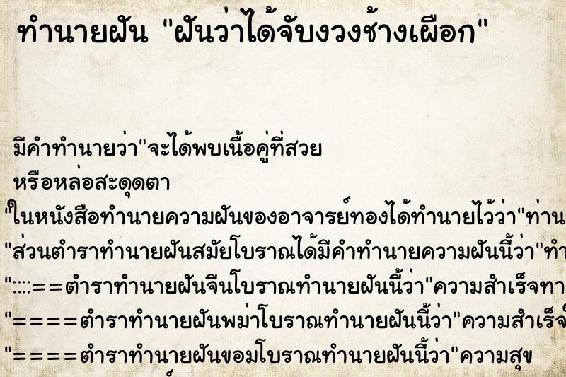 ทำนายฝันฝันว่าได้จับงวงช้างเผือก ทำนายฝันทำนายฝันฝันว่าได้จับงวงช้างเผือก