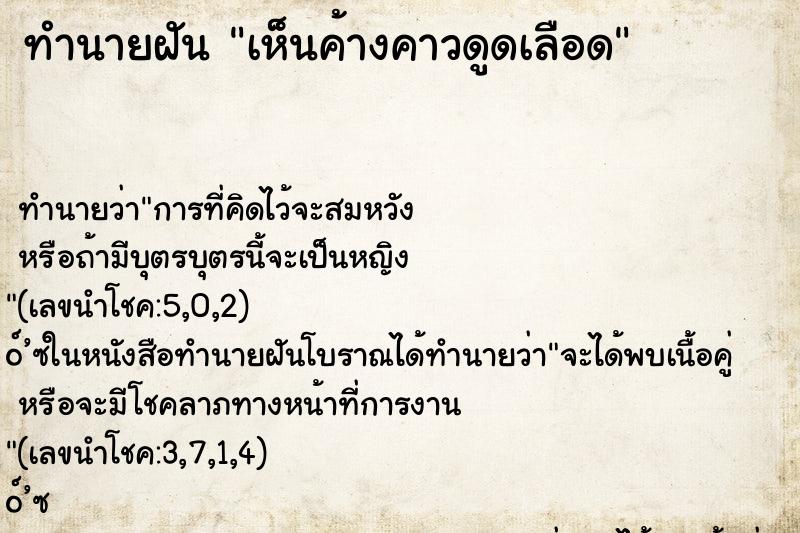 ทำนายฝัน เห็นค้างคาวดูดเลือด