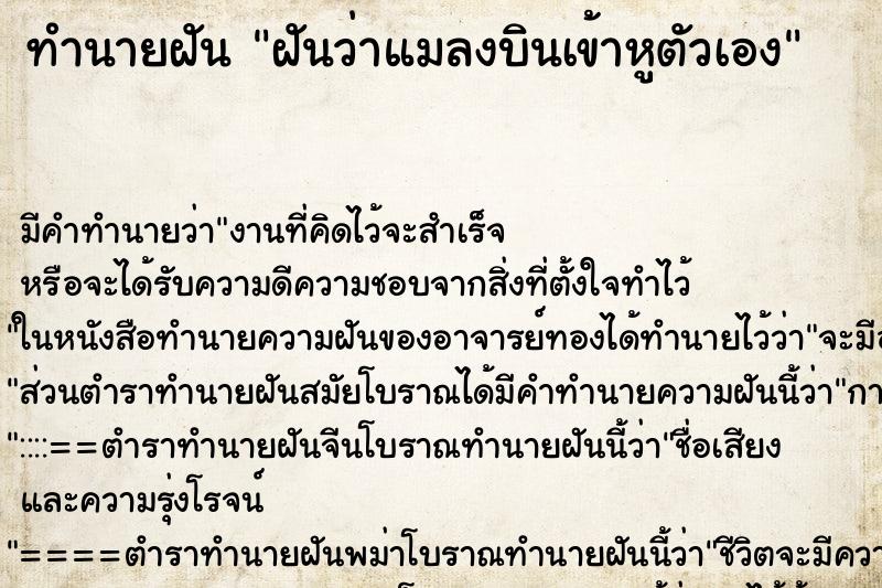 ทำนายฝัน ฝันว่าแมลงบินเข้าหูตัวเอง