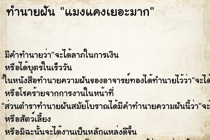 ทำนายฝัน แมงแคงเยอะมาก ทำนายฝัน แมงแคงเยอะมาก