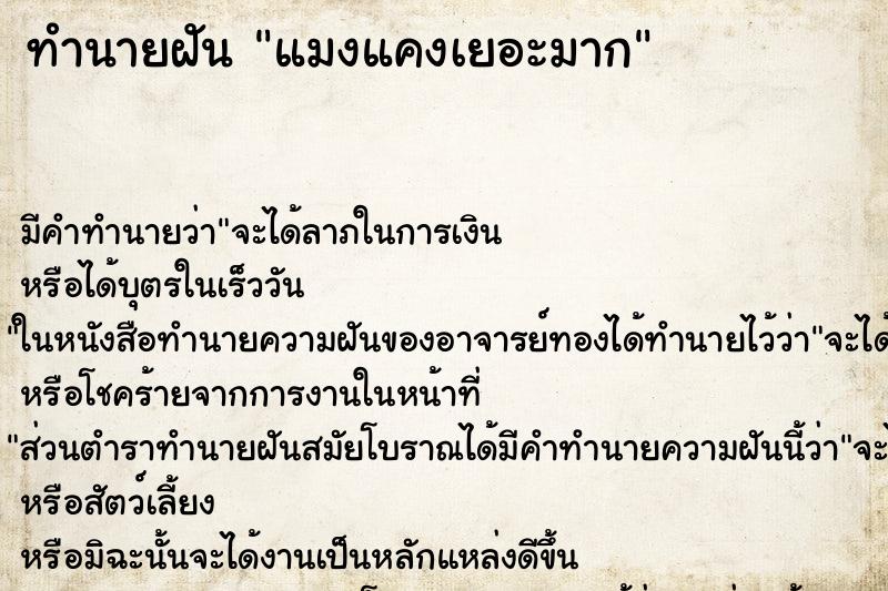 ทำนายฝัน แมงแคงเยอะมาก ตำราโบราณ แม่นที่สุดในโลก