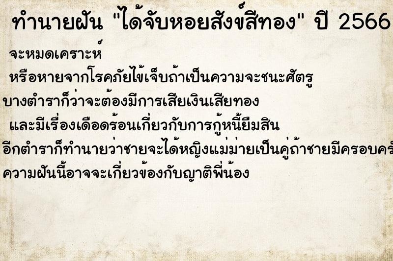 ทำนายฝัน ได้จับหอยสังข์สีทอง